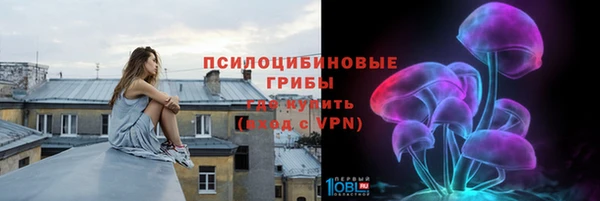 прущий лед Надым