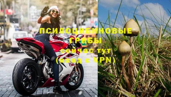 герыч Михайловск